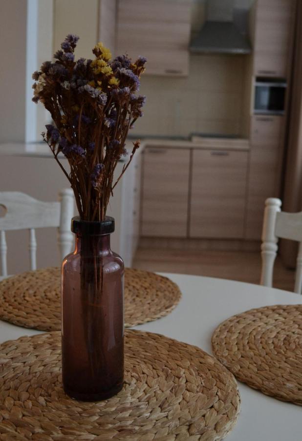 Appartement Saulys à Druskininkai Extérieur photo